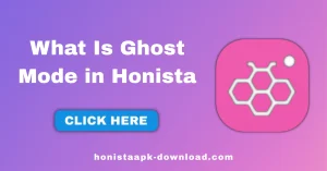 What Is Ghost Mode in Honista