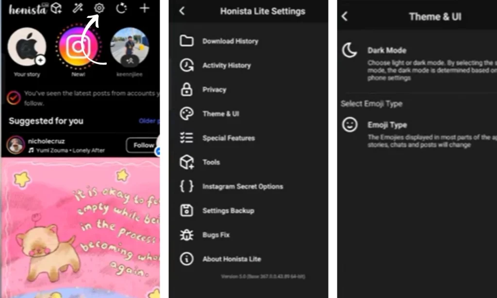 Theme and Emoji Options